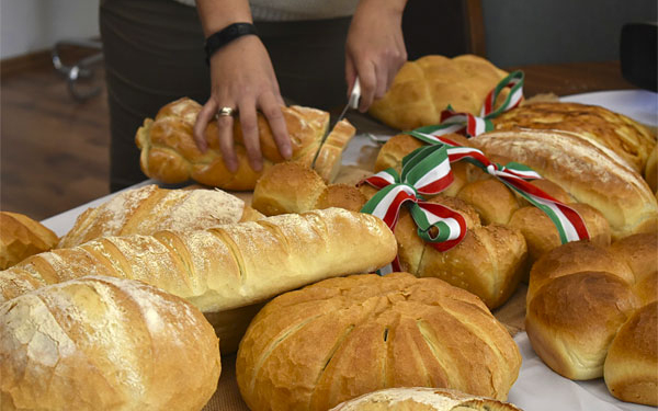 Már lehet szavazni, hogy melyik dombóvári szervezet kapja a támogatást