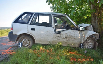 Lesodródott az útról, és ott egy fának ütközött egy dombóvári férfi