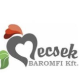 Gépkezelő/Karbantartó