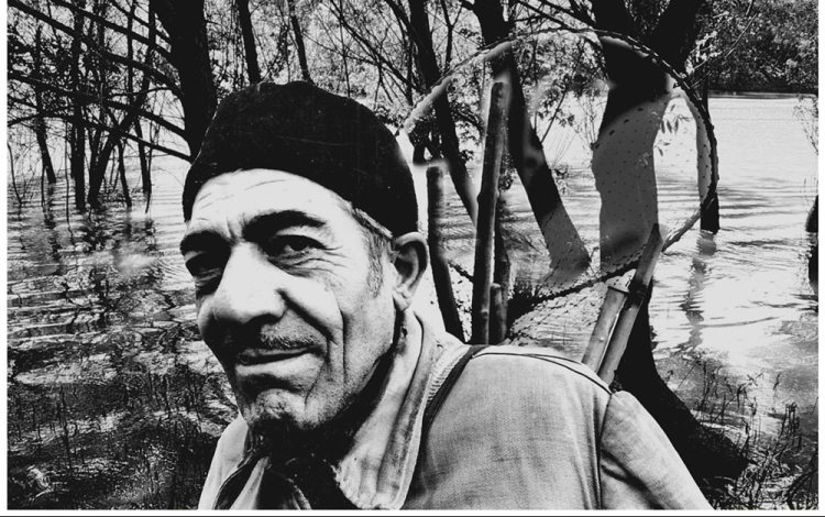 Dombóvári fotósok munkái országos fotópályázatokon