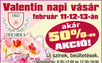 Ma kezdődik a Valentin napi orchidea vásár Kaposszekcsőn