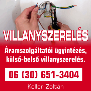 Koller Zoltán naptarhoz